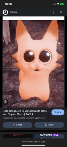 an ad for adorable cats on a phone screen