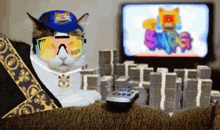a cat wearing sunglasses and a hat with the word gang on it sits in front of a tv