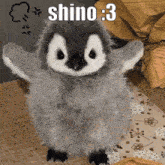 Shino For Shino GIF - Shino For Shino Silly Penguin GIFs