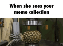 Crushed When She Sees Your Meme Collection GIF - Crushed When She Sees Your Meme Collection Squished GIFs