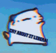 a cartoon cat with the words cry about it liberal written on it