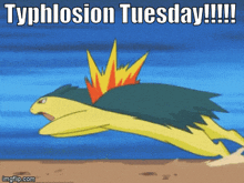 Typhlosion Tuesday GIF - Typhlosion Tuesday Meme GIFs
