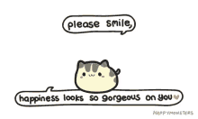 Cat Please Smile GIF - Cat Please Smile Happiness Looks Gorgeous On You GIFs