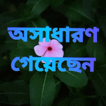 অসাধারণ Asadharan GIF - অসাধারণ Asadharan Asadaron GIFs