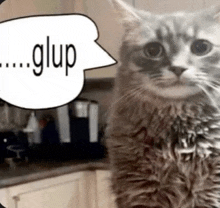 a cat is standing in front of a speech bubble that says glup