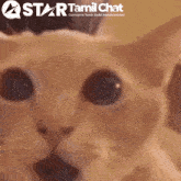 a close up of a cat 's face with a star tamil chat logo above it