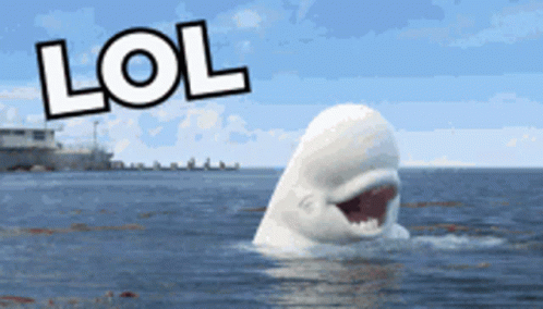 untitled.gif