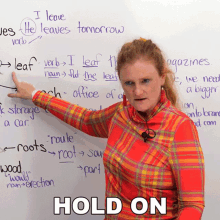 Hold On Ronnie GIF - Hold On Ronnie Learn English With Ronnie GIFs