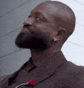 a man with a beard is wearing a suit and tie and has a red flower in his pocket .