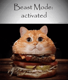 a cat that looks like a hamburger with the words " beast mode activated " above it