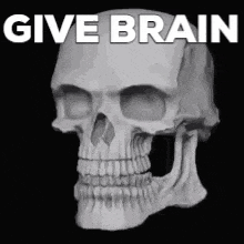 Give Brain Give Head GIF - Give Brain Give Head Head GIFs
