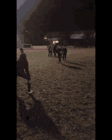 a group of people are playing a game of frisbee on a field at night