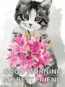 Cat Flowers GIF - Cat Flowers Good Morning My Best Friend GIFs