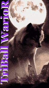 a wolf standing in front of a full moon with the words tribal warrior on the bottom