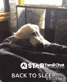 a dog is laying on a bed with the words back to sleep