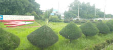 a sign with the letter z on it is surrounded by trees