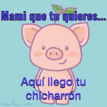mami que tu quieres aqu%C3%ADllego tu chicharr%C3%B3n pig mommy what do you want here comes your chicharr%C3%B3n