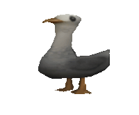 Silly Seagull Sticker
