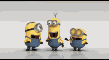minions-laughing-rofl.gif 