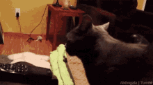 a black cat is standing next to a remote control on a couch .