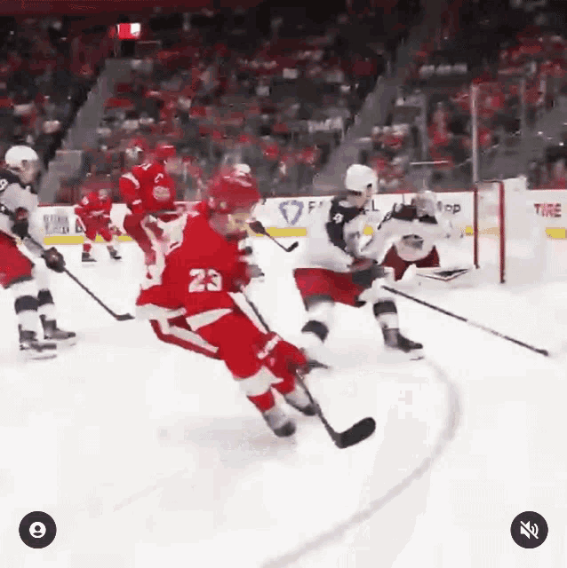 Detroit Red Wings GIFs on GIPHY - Be Animated