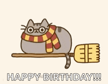 Harry Potter Cat Animated GIF