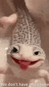 a lizard with its tongue hanging out and the words we don 't have much time