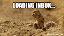 Email Squirrel Email GIF - Email Squirrel Email Lots Of Emails GIFs
