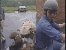 Motorcycle Dog Is A Badass :D GIF - Dogs Motorcycles GIFs