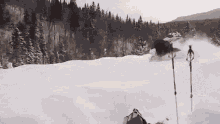 Running Moose GIF - Running Moose Snow GIFs