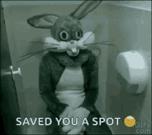 bunny spot
