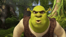 Shrek Stare GIF - Shrek Stare Intense GIFs