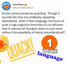 words language duck