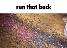 Run That Back Run GIF - Run That Back Run That GIFs
