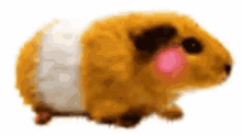 Hamster Rodent GIF - Hamster Rodent Pet GIFs