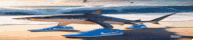 a shark is wearing a pair of blue nike shoes on the beach