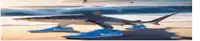 a shark is wearing a pair of blue nike shoes on the beach