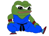 a cartoon of a frog wearing a blue karate uniform