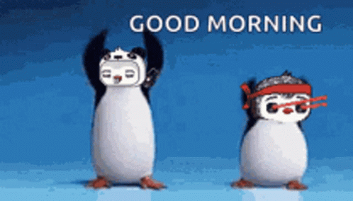 Morning Penguin GIF - Morning Penguin Dance Cute - Discover ...