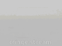 Sisslor Cringe GIF - Sisslor Cringe Stream GIFs