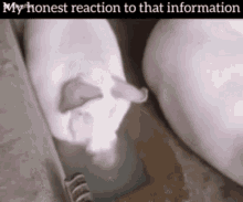 My Honest Reaction Pig GIF - My Honest Reaction Pig GIFs
