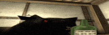 a green bottle with a label that says ' poison ' on it next to a black cat