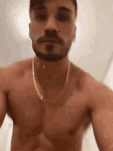 a shirtless man with a beard wearing a gold chain around his neck is taking a selfie .