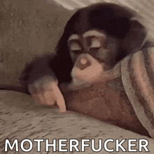 a baby chimpanzee is laying on a couch with its eyes closed and pointing at something .