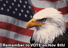 Remember To Vote GIF - Election Ballot Vote GIFs