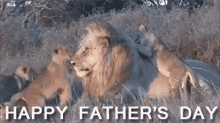 Happy Fathers Day Lion GIF - Happy Fathers Day Lion Cute GIFs