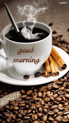 Good Morning Coffee GIF – Good Morning Coffee – GIFs entdecken und teilen