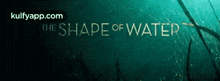 The Shape Of Water.Gif GIF - The Shape Of Water Oscars 2018 Hindi GIFs