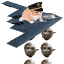 a cat wearing a military hat is flying on a plane