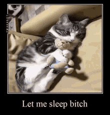 Cat Let Me Sleep GIF - Cat Let Me Sleep Sleepy GIFs